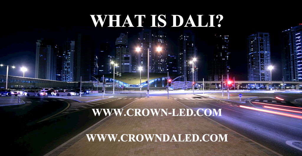 What is DALI?